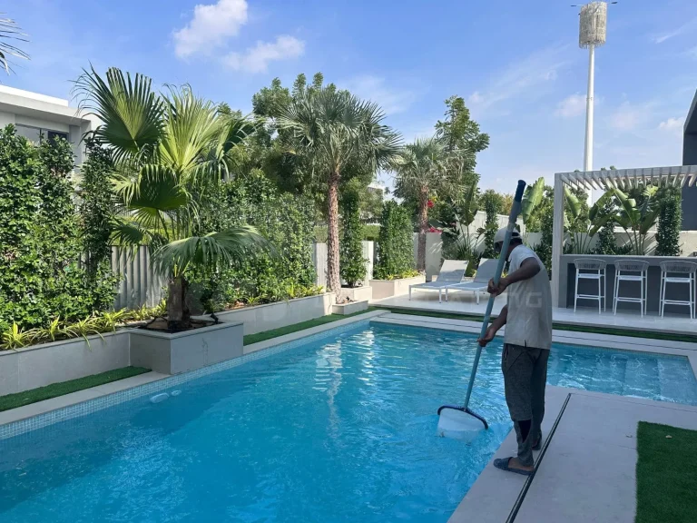 swimming pool maintenance