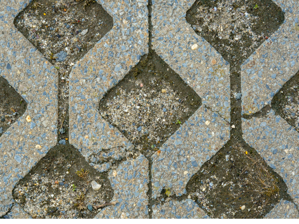 untitled design 2025 08 18t004526.633