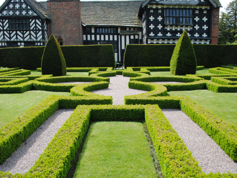 garden landscape